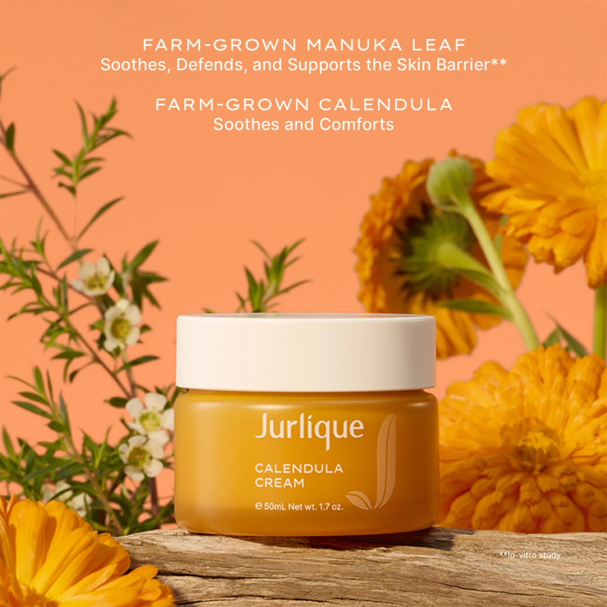 Calendula Cream - Image 3