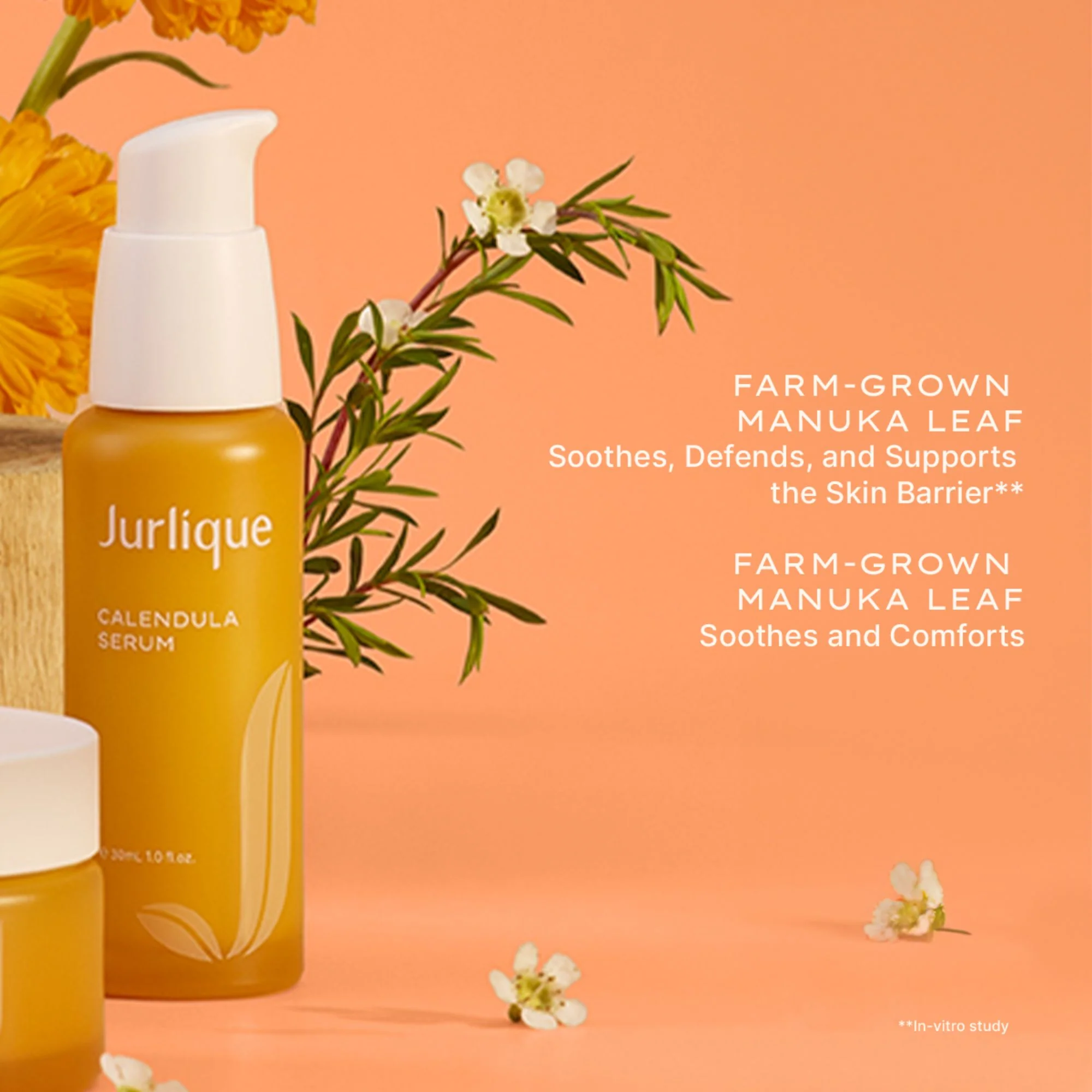 Calendula Serum - Image 3