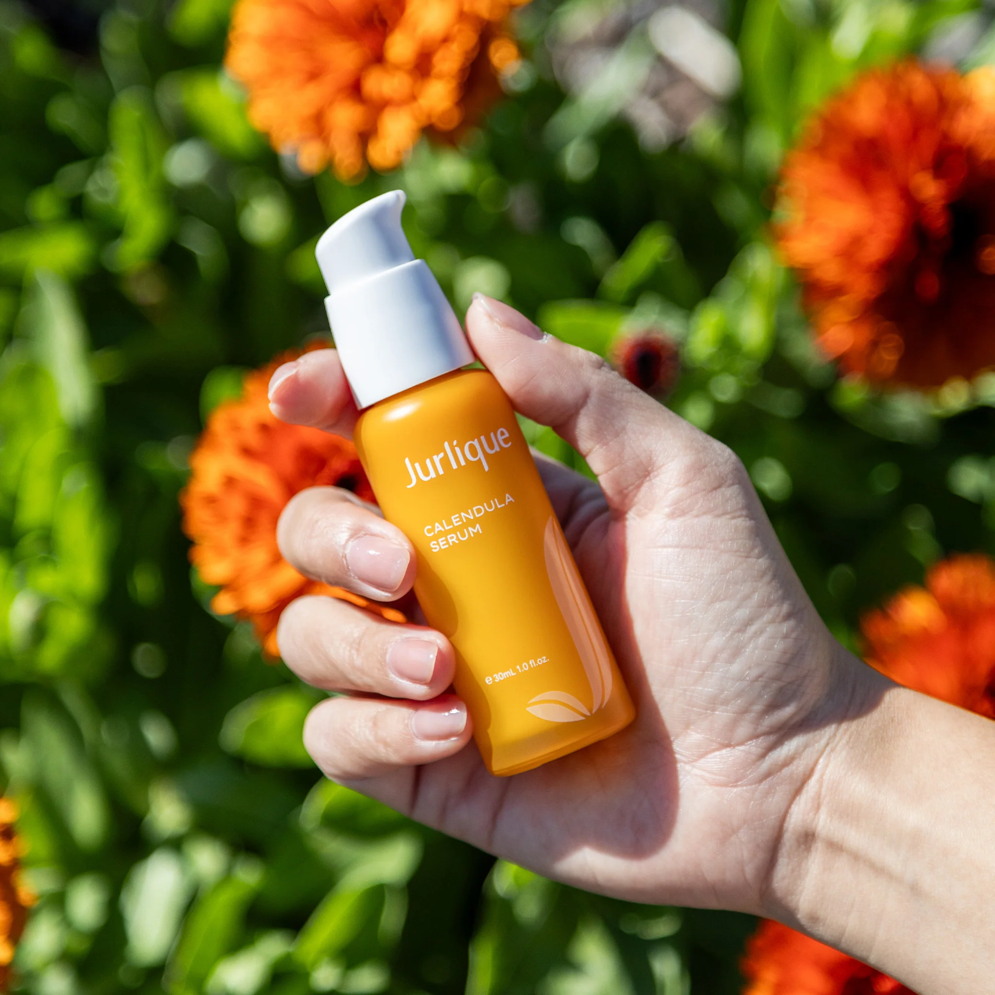 Calendula Serum - Image 4