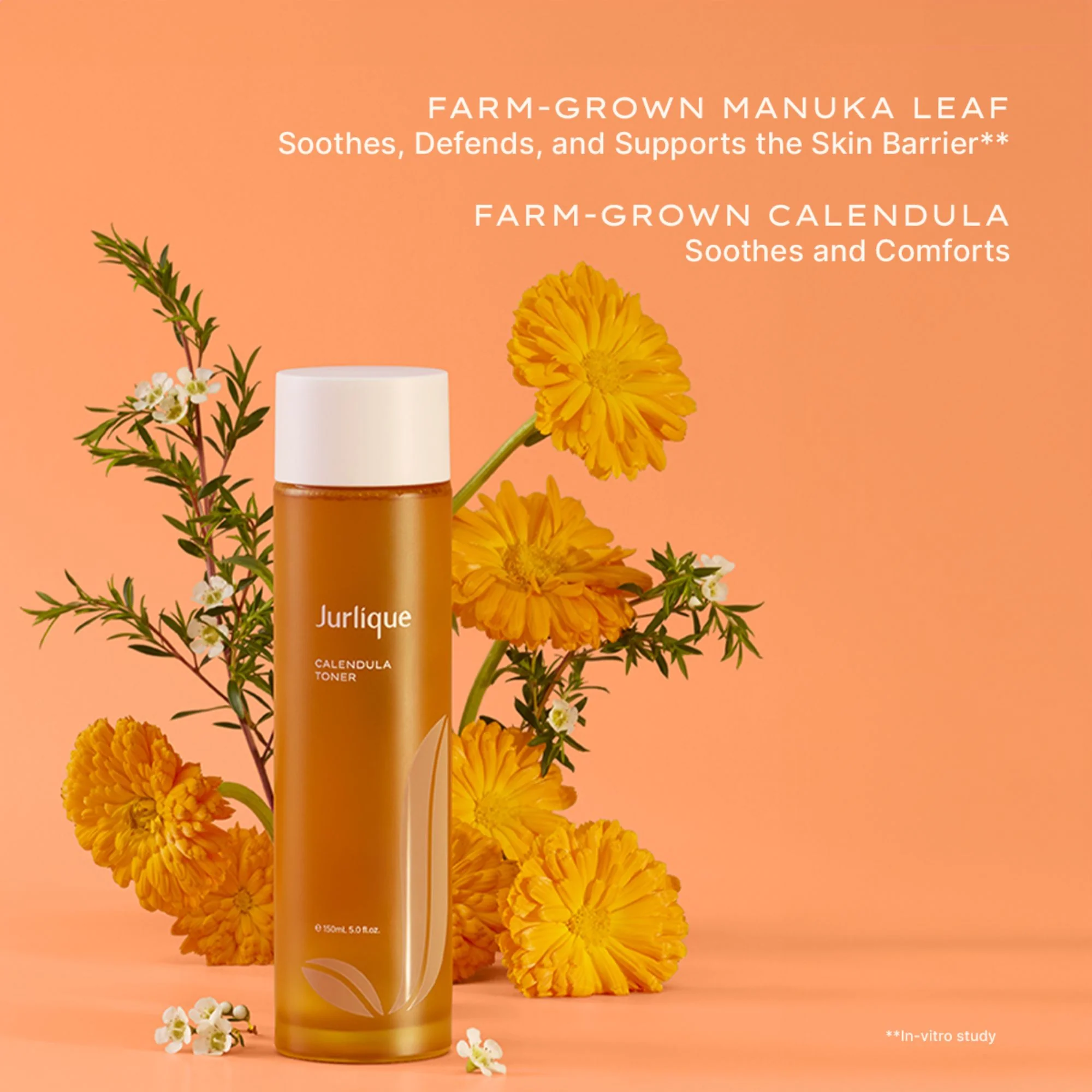 Calendula Toner - Image 3