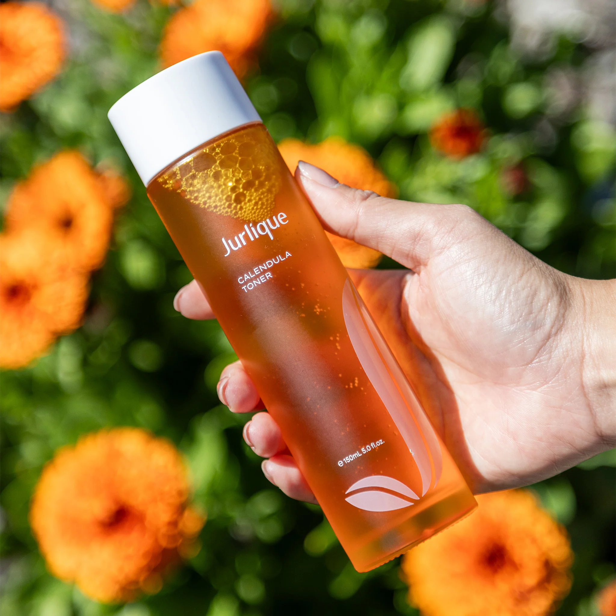 Calendula Toner - Image 7