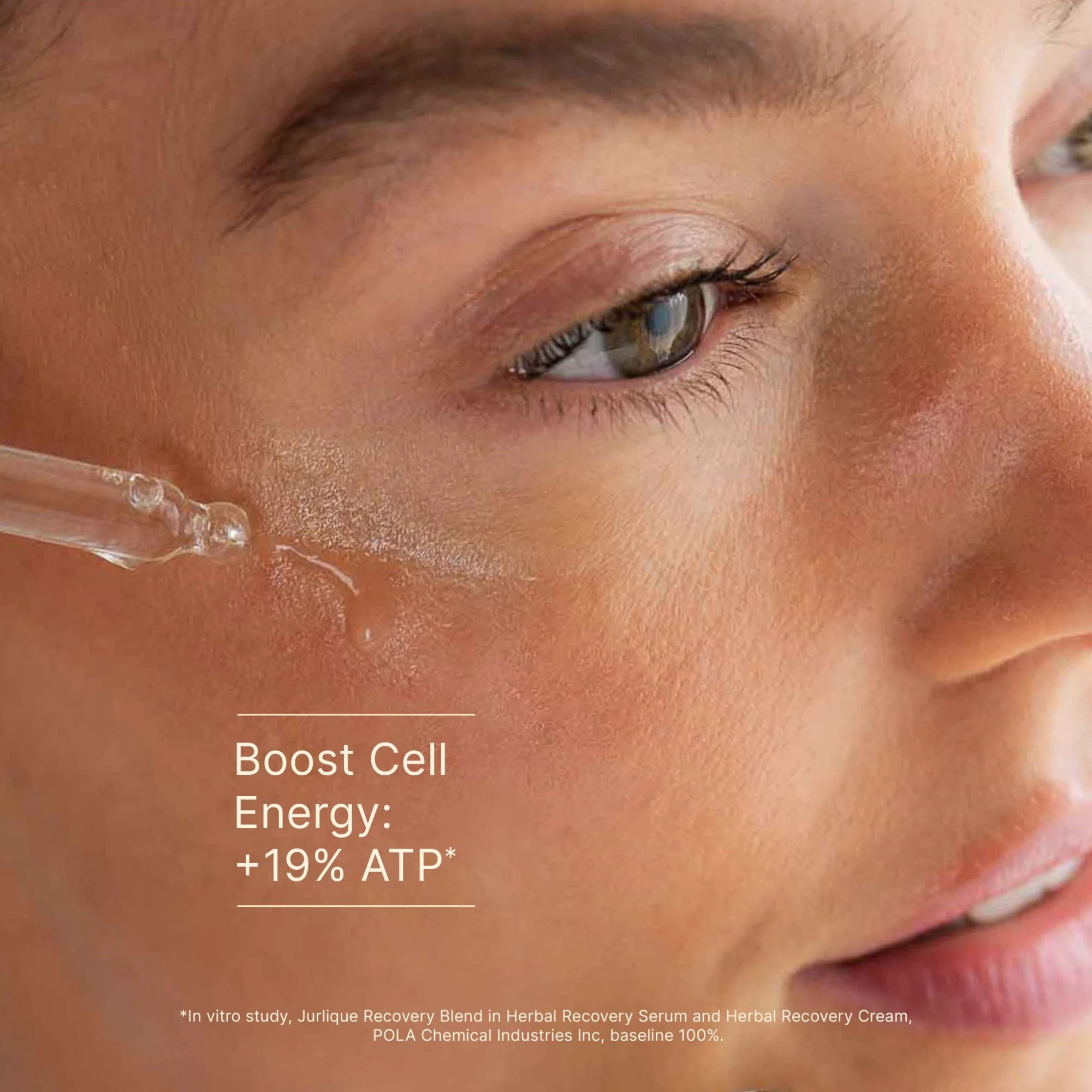 Herbal Recovery Bi-Phase Serum - Image 5