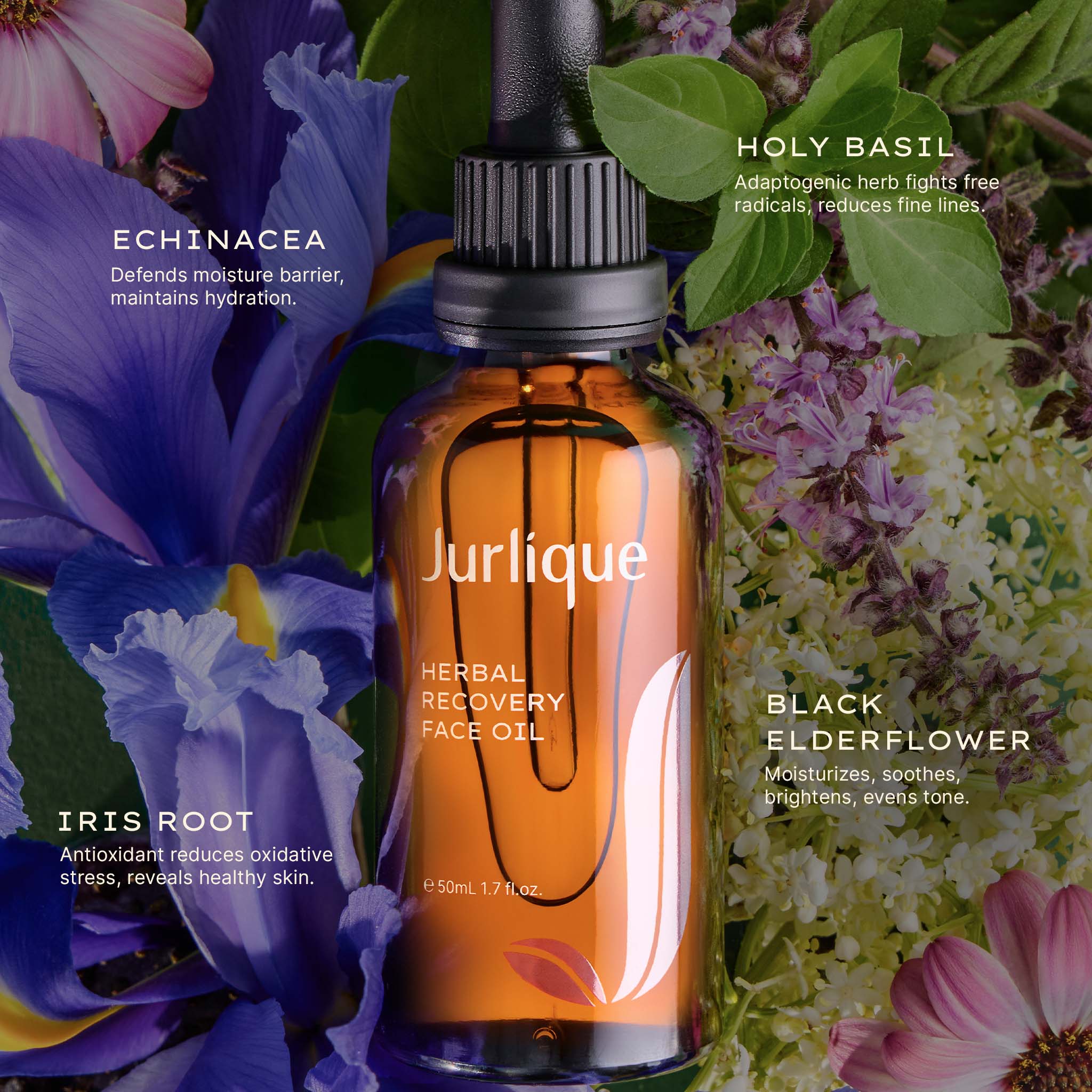Herbal Recovery Face Oil - Image 3