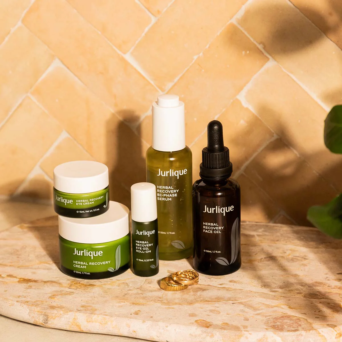 Herbal Recovery Face Oil - Image 6