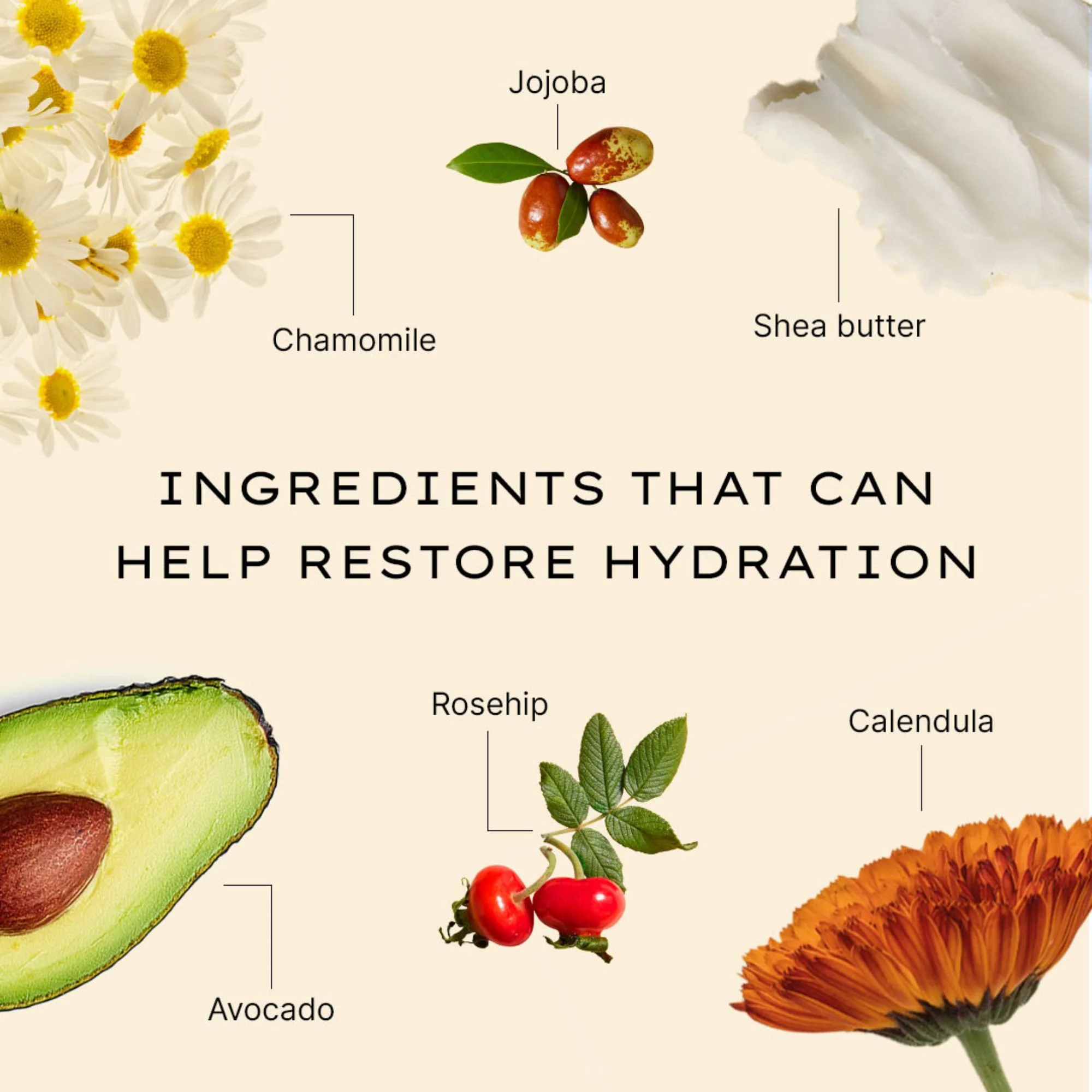 Moisture Replenishing Day Cream - Image 5